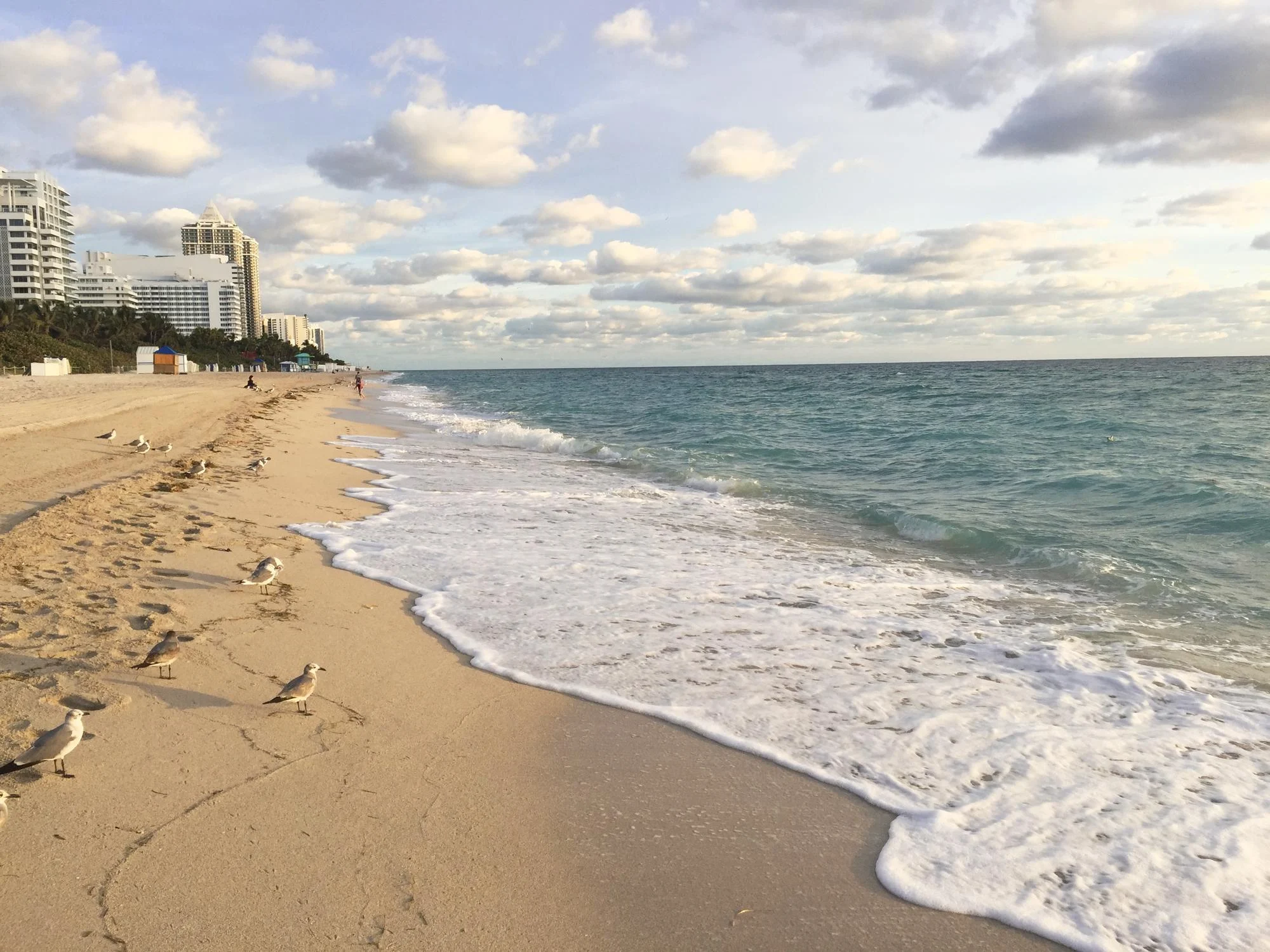 Sandy beach and Atlantic Ocean in Bal Harbour, Florida