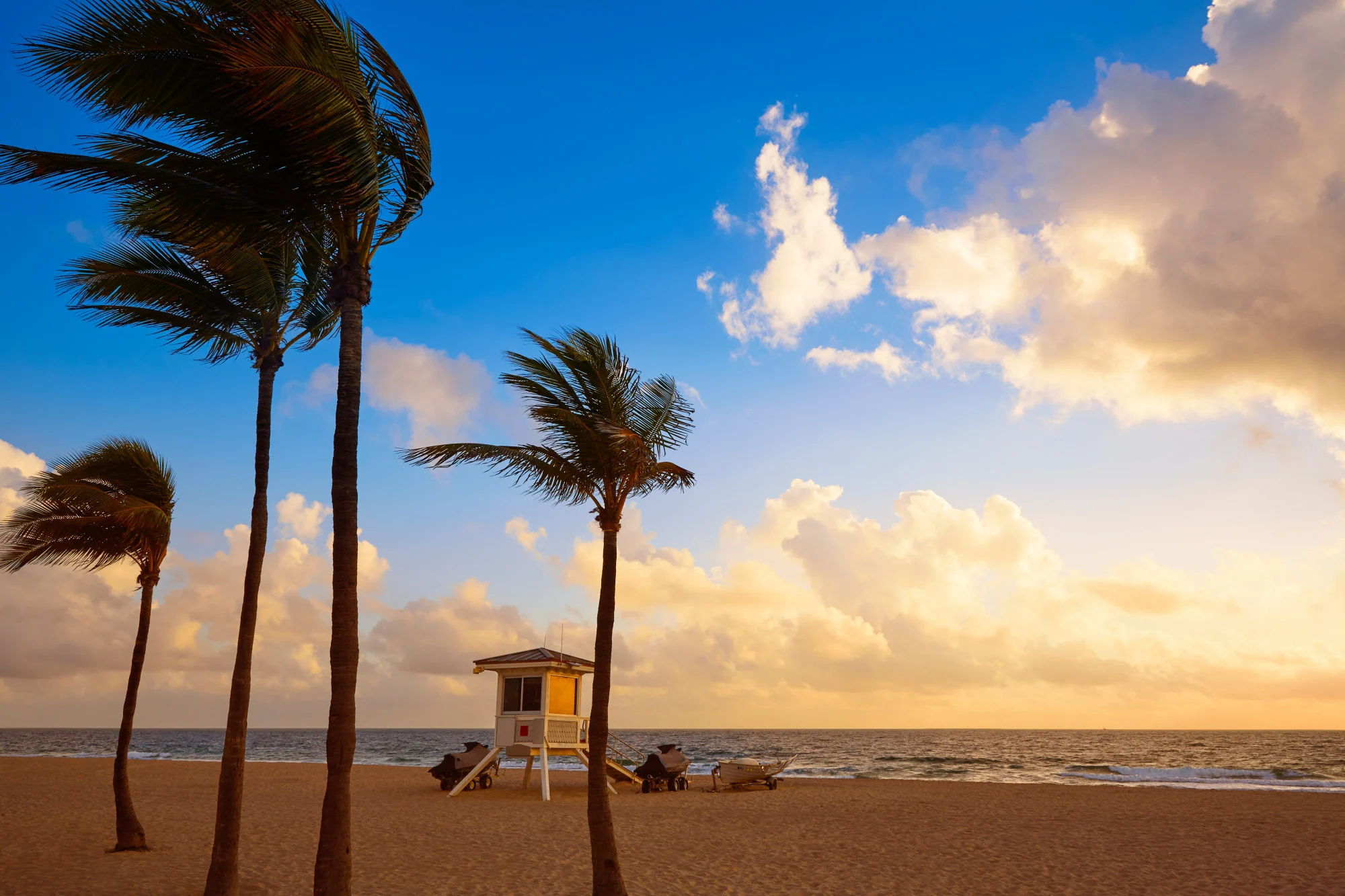 Palm trees on North Miami Beach at sunset